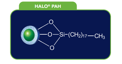 HALO PAH