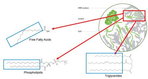 Lipid Removal