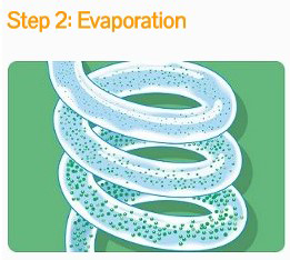 Evaporation