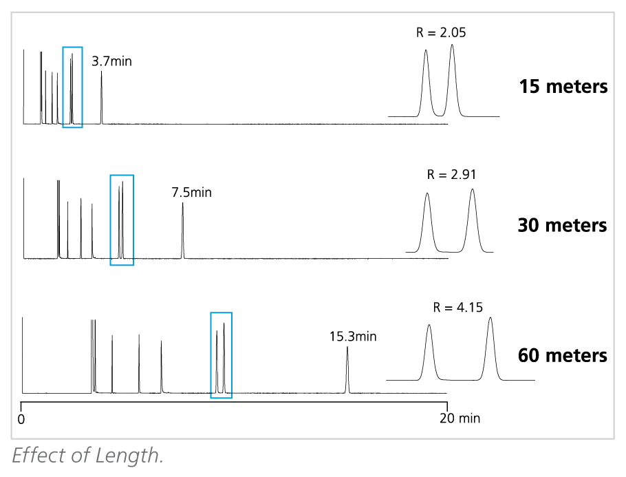 Column length effect