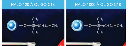 HALO OLIGO C18